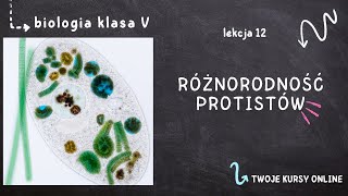 Biologia klasa 5 Lekcja 12  Różnorodność protistów [upl. by Eislek]