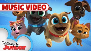 Lets go on a Mission  Puppy Dog Pals  disneyjr [upl. by Nitas]