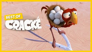 CRACKÉ  SUDDEN BREAK  Cartoon Animation  Compilation [upl. by Innaig]