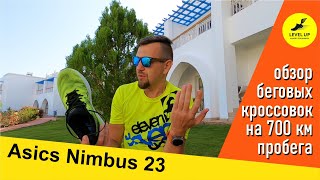 Asics Nimbus 23  обзор беговых кроссовок на 700 км пробега [upl. by Nyliak]