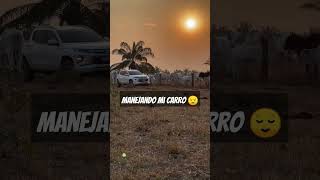 Suave como el viento 👩‍🌾 remix hilux4x4 agro triton automobile offroad [upl. by Atinrahs]