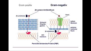 2b Antibiotika Substanzen [upl. by Oicapot]