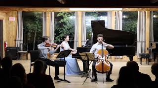 Mendelssohn Piano Trio in D minor op 49 2nd Movement [upl. by Ahsiened]