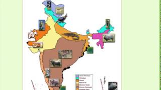 Environment Indian Biogeography Part 1 Bilingual  By Neeraj Nachiketa [upl. by Thorman]