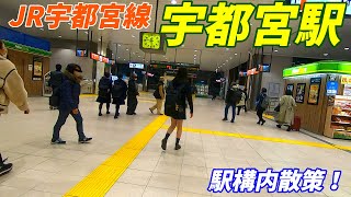 JR宇都宮線、宇都宮駅構内を散策！Japan Walking around Utsunomiya Station [upl. by Ahcrop521]