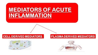 Mediators of Acute Inflammation [upl. by Id]