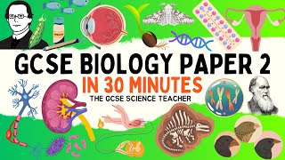 All of GCSE BIOLOGY Paper 2 in 30 minutes  The GCSE Science Teacher [upl. by Ennaeed302]