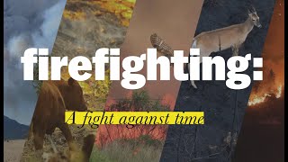 firefighting a fight against time [upl. by Idolla]