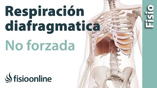 Respiración diafragmática o abdominal no forzada [upl. by Lothaire]