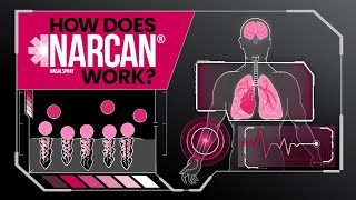 How Does NARCAN Nasal Spray Work [upl. by Lyreb460]