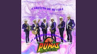 Cariñito de Mi Vida [upl. by Tiduj]