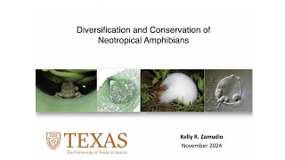 Dr Kelly Zamudio • Diversification and Conservation of Neotropical Amphibians • November 2024 [upl. by Nothsa]