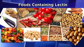 Lectins The New Diet Enemy [upl. by Ardnusal]