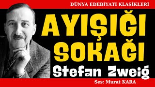 quotAyışığı Sokağıquot Stefan Zweig Dünya Edebiyatından Sesli Kitaplar [upl. by Butta]