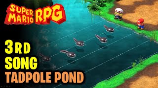 Third Song  Tadpole Pond Musical Puzzle 3  Super Mario RPG [upl. by Hauger]