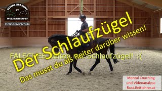 F71 Ist der Schlaufzügel sinnvoll oder Zwang Reiter Pferde amp Reiten lernen Hilfszügel verstehen [upl. by Zita]