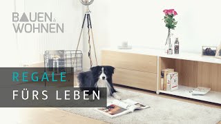 Regale mit Magnetsystem und Globus als Dekoelement  BAUEN amp WOHNEN News [upl. by Eenahpets]