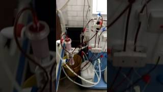 Dialysis machine ak98 gambro nrs [upl. by Asirrom]