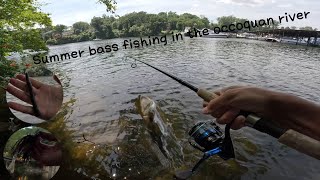 Summer bass fishing in the occoquan river ｜Bank Fishing [upl. by Iblehs]