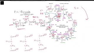 Carbon Tracing Basics 44 [upl. by Yllak]