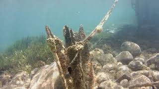 Snorkeling in Molyvos Lesvos Rollei 500 Sunrise action cam [upl. by Naaitsirhc]