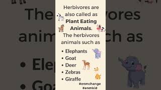 Plant Eating Animals ¦ Plant Eating Animals Name ¦ Herbivores [upl. by Cargian368]