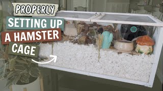 How to PROPERLY Set up a Hamster cage [upl. by Oiratnom128]