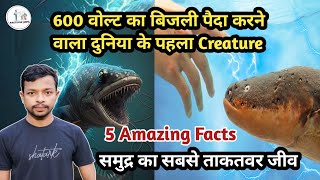 The Monster in Sea  Aquatic Mammals Facts 5 Amazing Facts in Hindi Ocean Creatures Facts  facts [upl. by Nylek275]