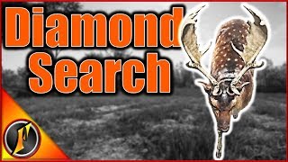 Hirschfelden Diamond Search  theHunter Call of the Wild [upl. by Prior]