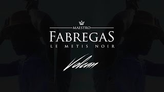 Fabregas le Métis Noir  Éclipse Clip Officiel [upl. by Ethe702]