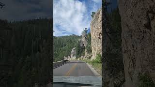 Black Hills South Dakota nature travel beautiful shortvideo youtubeshorts [upl. by Inig]