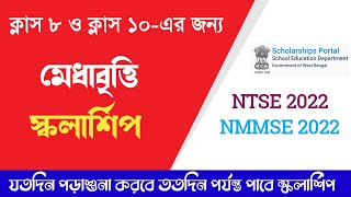 মেধাবৃত্তি স্কলার্শিপ পরীক্ষা 2022 NTSE NMMSE National talent search examination [upl. by Sedruol]