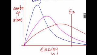 61 Boltzmann Distribution and Catalysis SL IB Chemistry [upl. by Oad205]