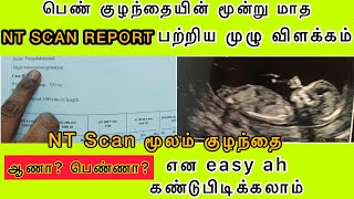 My First Trimester NT Scan Report In Tamilnt scan in 3 months pregnant in tamilgirl baby report [upl. by Iek]