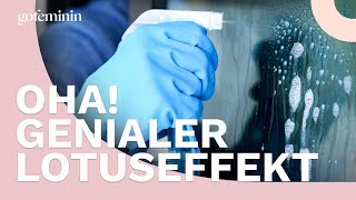 Genialer Lotuseffekt Deshalb solltest du deine Dusche mit Klarspüler reinigen [upl. by Truda]