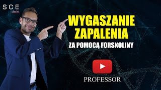 Wygaszanie zapalenia za pomocą forskoliny  Professor odc 114 [upl. by Bonns]