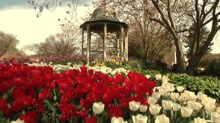 Bowral Tulip Time 2013 Corbett Gardens [upl. by Hengel]