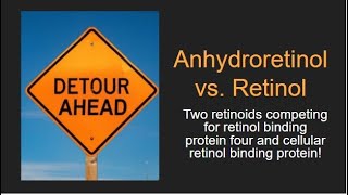 Detour Ahead Anhydroretinol and Retinol compete for CRBP and RBP4 [upl. by Hardigg]