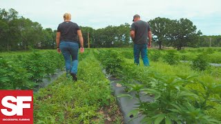 Farmer Grows Hemp for the First Time for CBD Oil  Agronomy Spotlight  Successful Farming [upl. by Nirre576]