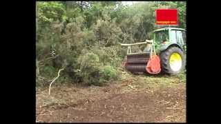 SEPPI M  MIDIFORST dt  forestry mulcher  Forstmulcher  trinciatrice forestale [upl. by Leiram267]