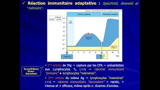 15 IMMUNOLOGIE S5  Mécanismes de défense part2 [upl. by Winton]