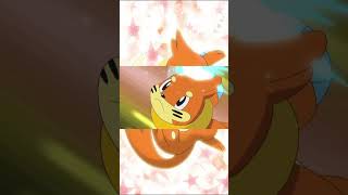 Buizel amv anime pokemon buizel [upl. by Nyllewell]