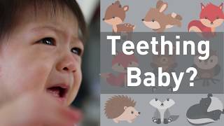 Do Teething Babies Need Medicine on Their Gums No [upl. by Lenoel411]