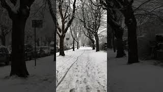 📢 SNOW IN DUBLIN 132024 ❄️ DublinSnowfall UnexpectedWeather 🌨️ [upl. by Ilyssa]