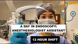 A day as an Anesthesiologist Assistant in EndoscopyGI [upl. by Nednerb]