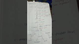 Shikimic acid pathway 5thsem bpharm bpharmpharmacy [upl. by Rutan]