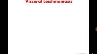 Visceral leishmaniasis dr noha madbouly [upl. by Lepley784]