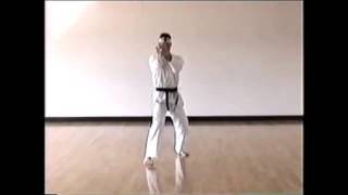 Isshinryu Karate Seiunchin Kata Walkthrough [upl. by Adnert310]