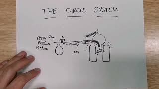 The Circle Breathing System Explained in under 2 minutes [upl. by Josephine]