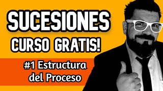 ✔️ Estructura del PROCESO SUCESORIO en Argentina  ¿Como es el trámite de una SUCESIÓN [upl. by Ulu]